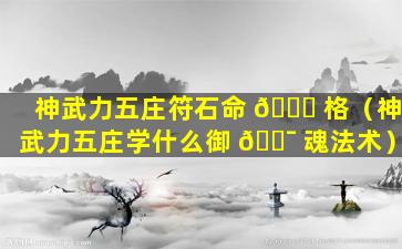 神武力五庄符石命 🐕 格（神武力五庄学什么御 🐯 魂法术）